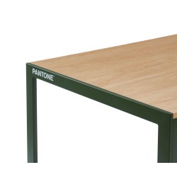 Table à manger PANTONE métal kaki et effet bois 160cm