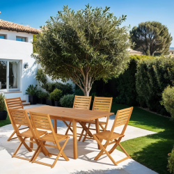 Ensemble repas de jardin PRATONAT 6 places en bois d'eucalyptus FSC 120/180 cm